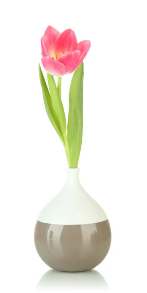 Tulipán rosa en jarrón brillante, aislado en blanco — Foto de Stock