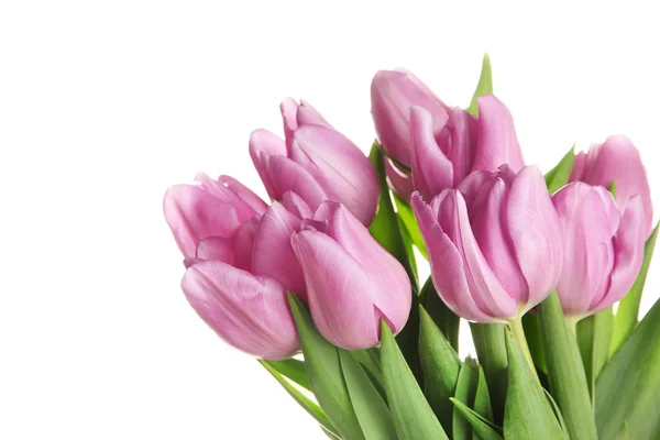 Schöner Strauß lila Tulpen, isoliert auf weiß — Stockfoto