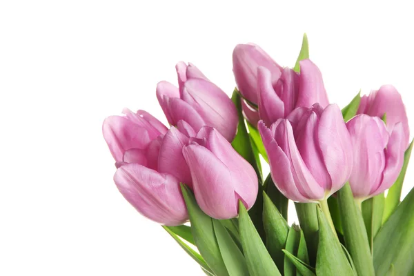 Beautiful bouquet of purple tulips, isolated on white — Stock Photo, Image