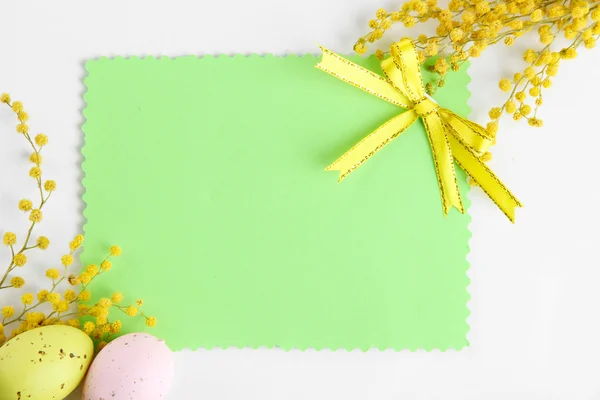 Empty card with easter eggs and mimosa flowers, isolated on white — Stock Photo, Image