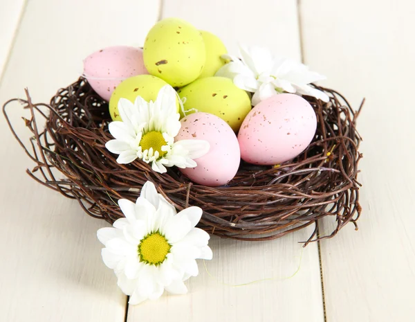 Pasen eieren in nest en mimosa bloemen, op witte houten achtergrond — Stockfoto