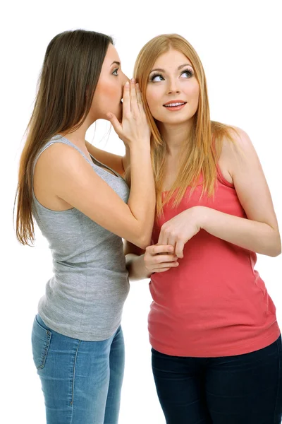 Two girl friends gossip isolated on white — Stock Photo, Image