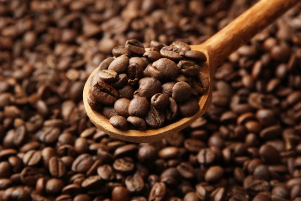 Grãos de café em colher de madeira, close-up — Fotografia de Stock