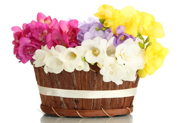 Beautiful bouquet of freesias in basket, isolated on white — Stock Photo, Image