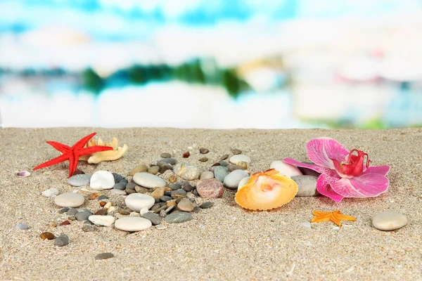 Steine im Sand auf dem Meeresgrund — Stockfoto