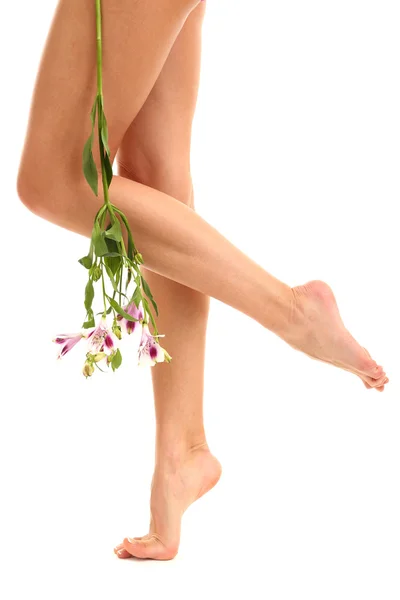 Hermosas piernas de mujer, aisladas en blanco —  Fotos de Stock