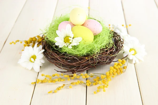 Huevos de Pascua en nido y flores mimosas, sobre fondo de madera blanca —  Fotos de Stock