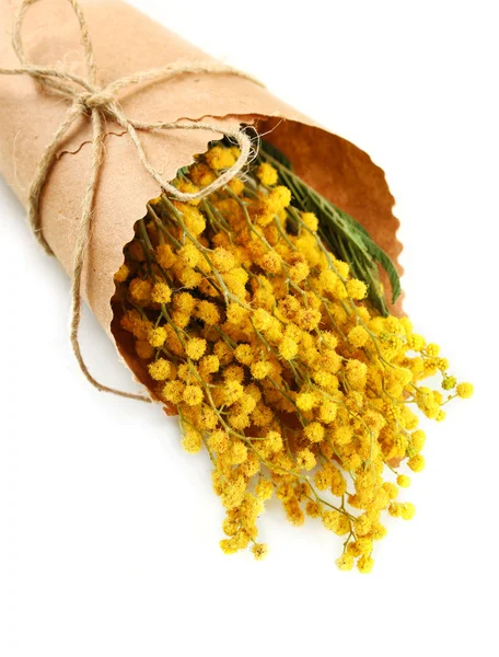 Buquê de flores de mimosa, isolado em branco — Fotografia de Stock