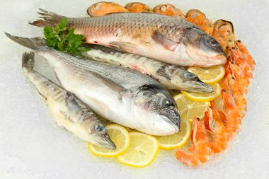 buz üstünde taze deniz ürünleri