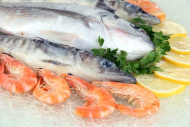 buz üstünde taze deniz ürünleri