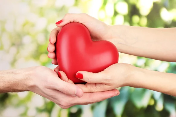 Red heart in woman and man hands, on green background — Stock Photo, Image