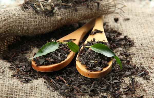 Té seco con hojas verdes en cucharas de madera, sobre fondo de arpillera — Foto de Stock