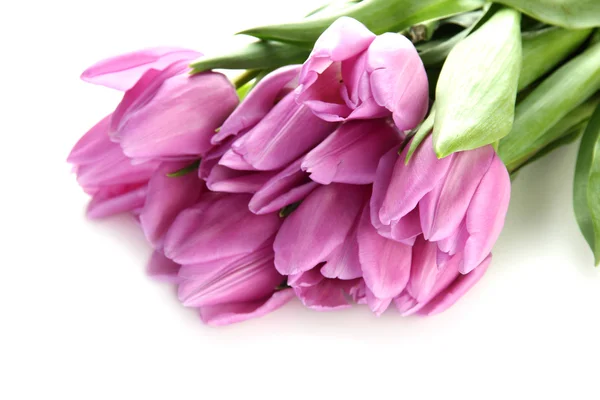 Piękny bukiet tulipanów fioletowy, na białym tle — Zdjęcie stockowe