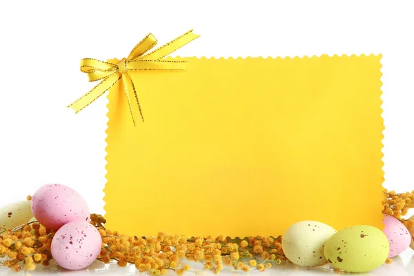 Empty card with easter eggs and mimosa flowers, isolated on white — Stock Photo, Image