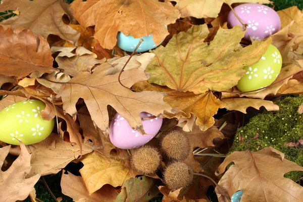 Easter eggs hidden in leaves — Stock Photo, Image