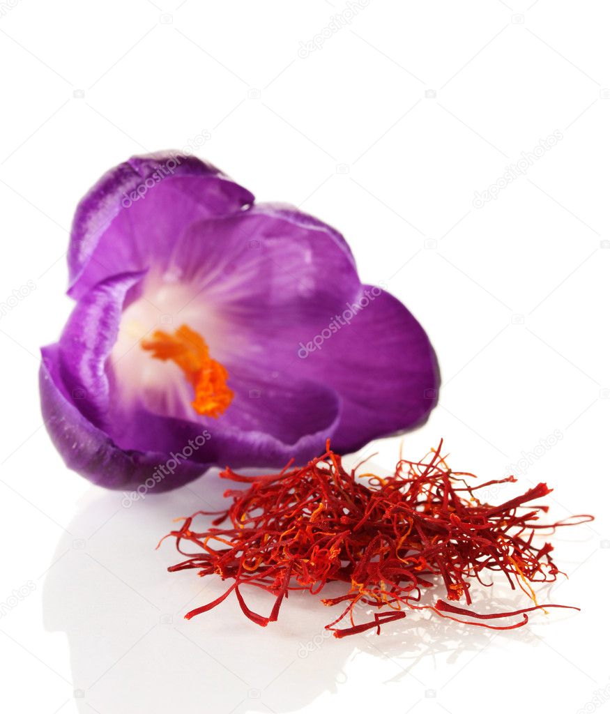 Beautiful purple crocus and saffron, isolated on white