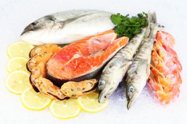 buz üstünde taze deniz ürünleri