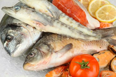 buz üstünde taze deniz ürünleri