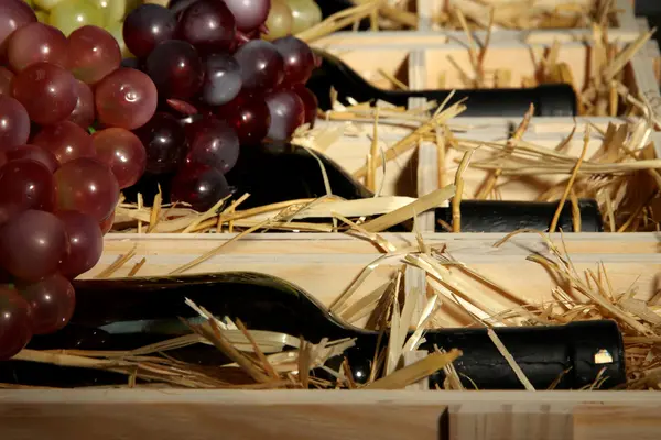 Caja de madera con botellas de vino de cerca — Foto de Stock