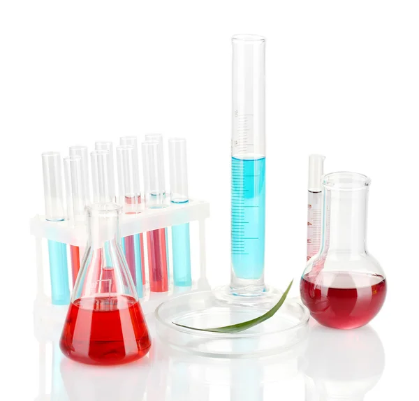 Petri dish, üzerinde beyaz izole test tüpleri ve yeşil yaprak test — Stok fotoğraf
