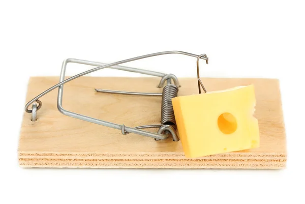 Mousetrap met kaas geïsoleerd op wit — Stockfoto