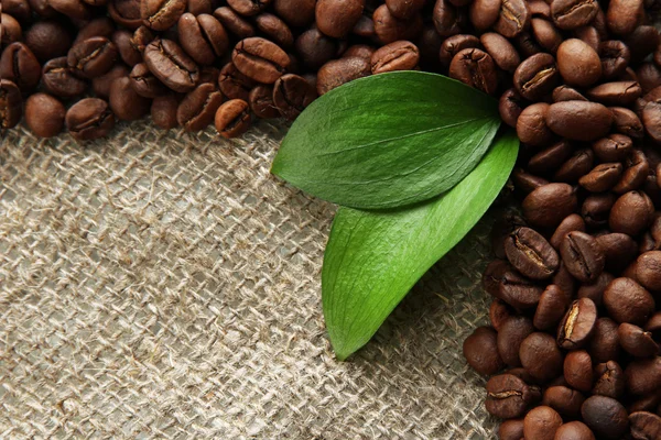 Granos de café con hojas sobre fondo de saco-tela —  Fotos de Stock