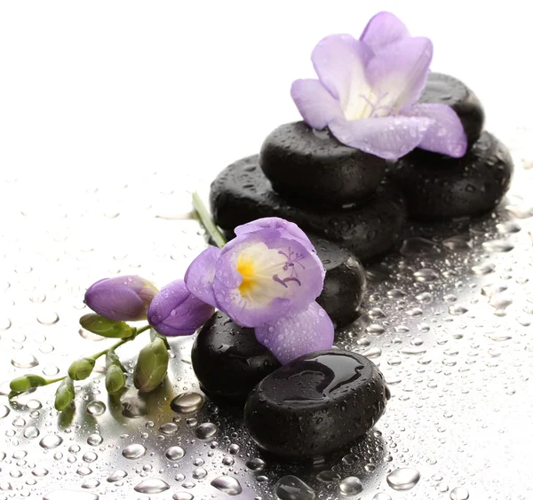 Spa stones and purple flower, on wet background — Stock Photo, Image