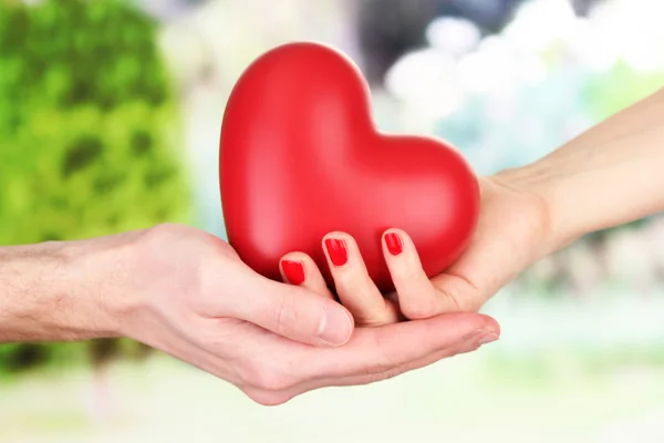 Cuore rosso nelle mani della donna e dell'uomo, su sfondo verde — Foto Stock