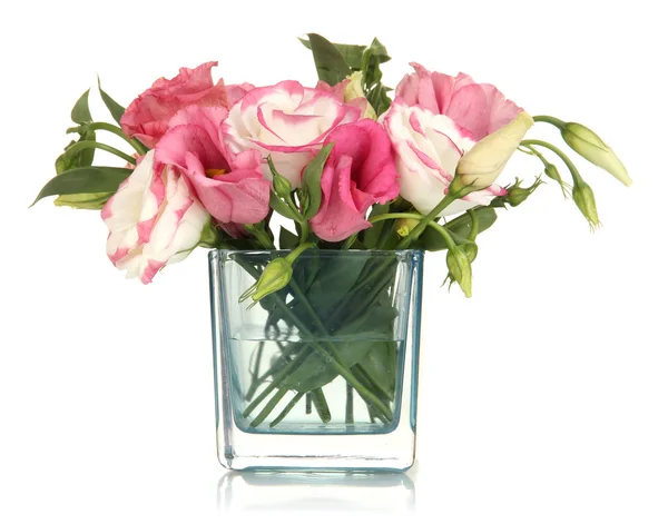 Ramo de flores de eustoma en jarrón aislado en blanco — Foto de Stock