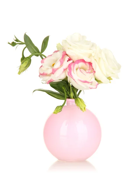 Strauß Eustoma-Blumen in der Vase isoliert auf weiß — Stockfoto