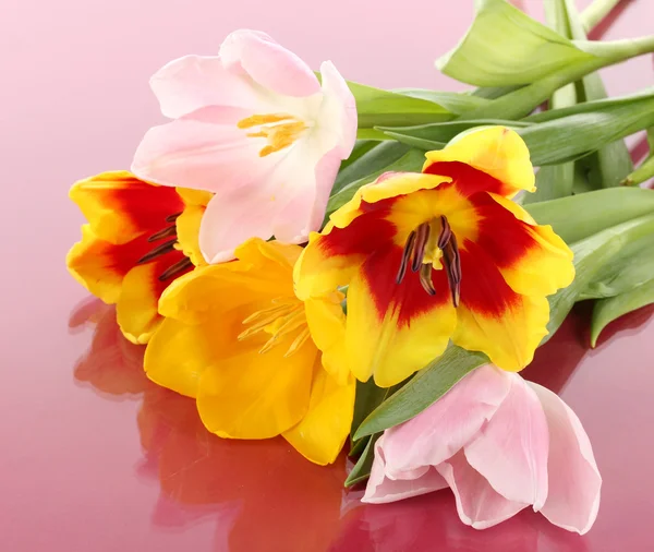 Krásné tulipány v kbelíku na růžovém pozadí — Stock fotografie