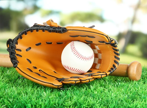 Luva de beisebol, morcego e bola na grama no parque — Fotografia de Stock