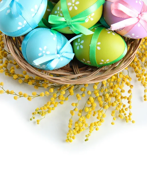 Ovos de Páscoa em cesta e flores de mimosa, isolados em branco — Fotografia de Stock