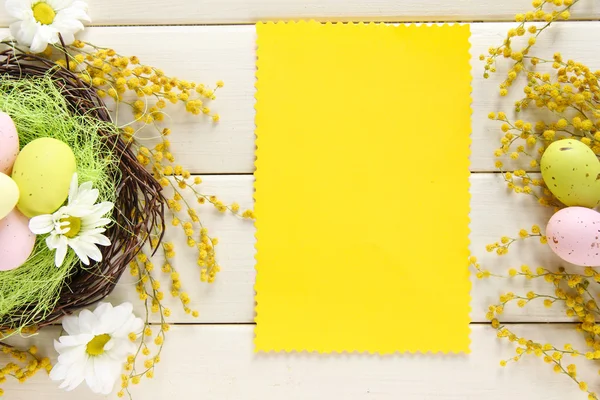 Carte vide avec œufs de Pâques et fleurs de mimosa, sur fond de bois blanc — Photo