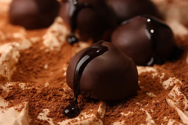 Шоколадні цукерки з какао порошком, крупним планом — стокове фото