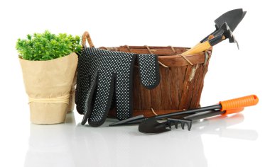 bahçe araçları beyaz üzerinde izole