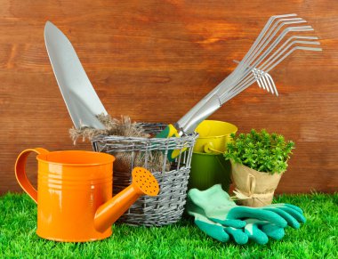 bahçede çimlerin üzerine Bahçe aletleri