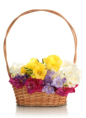 güzel sepeti, üzerinde beyaz izole Frezya buket