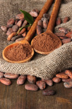 kaşık ve ahşap zemin üzerine kakao çekirdeği toz kakao