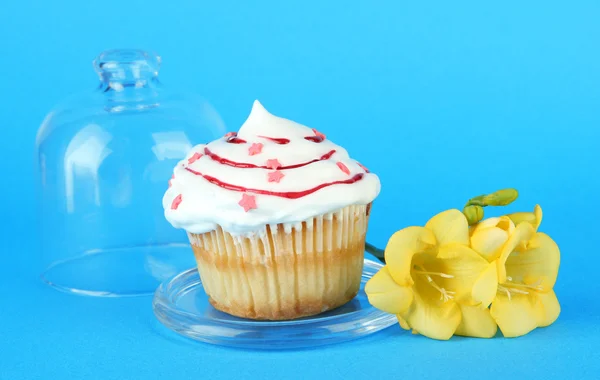 Cupcake på tefat med glaskupa, på färgbakgrund — Stockfoto