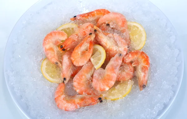 Camarones sobre hielo en plato aislado sobre blanco — Foto de Stock