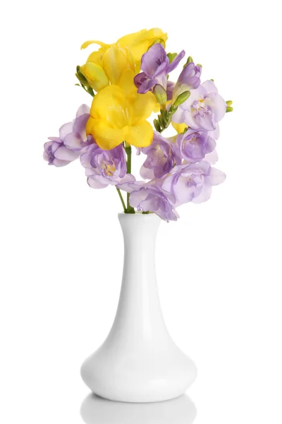 Vacker bukett av fresia i vas, isolerad på vit — Stockfoto