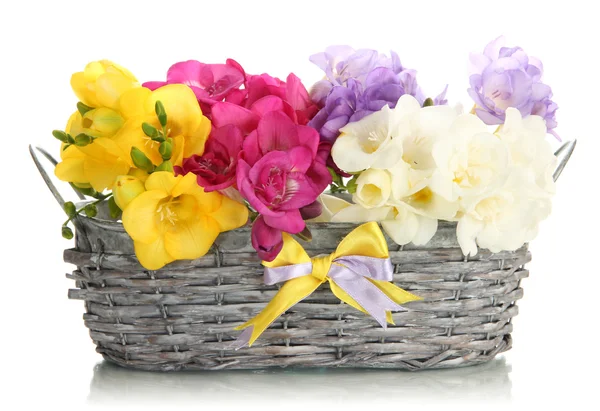 Beautiful bouquet of freesias in basket, isolated on white — Stock Photo, Image