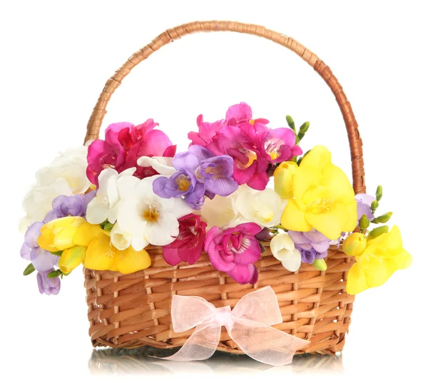 Beautiful bouquet of freesias in basket, isolated on white — Stock Photo, Image