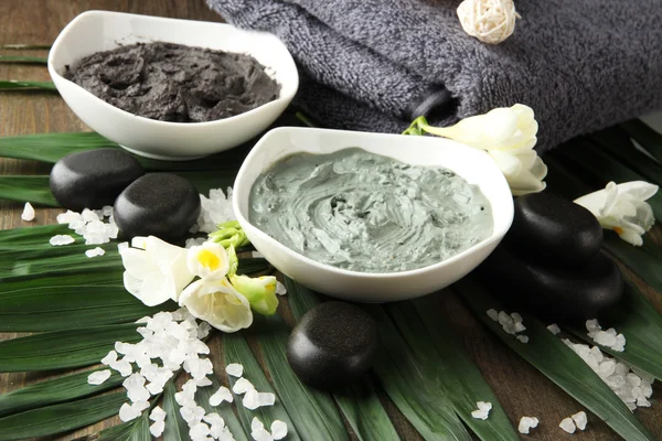 Samenstelling met cosmetische klei voor spa-behandelingen, op palm blad achtergrond — Stockfoto