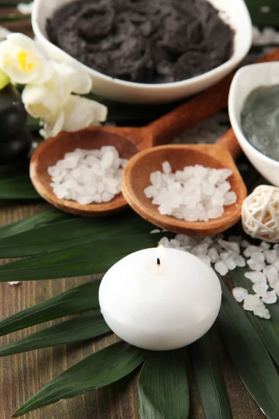 Composición con arcilla cosmética para tratamientos de spa, sobre fondo de hoja de palma — Foto de Stock