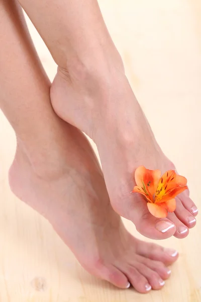 Beautiful woman legs on wooden floor — Stock Photo, Image