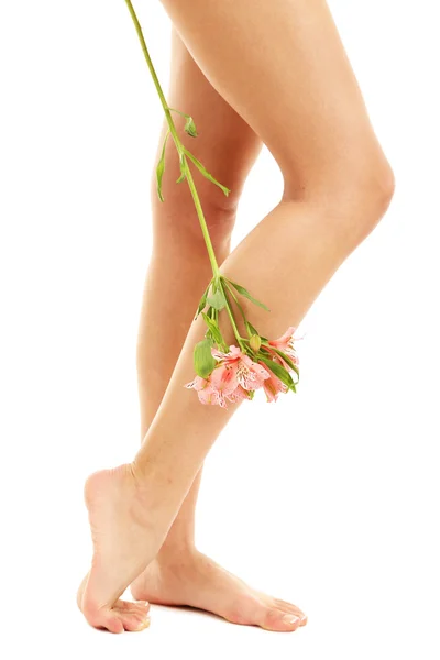 Hermosas piernas de mujer, aisladas en blanco —  Fotos de Stock