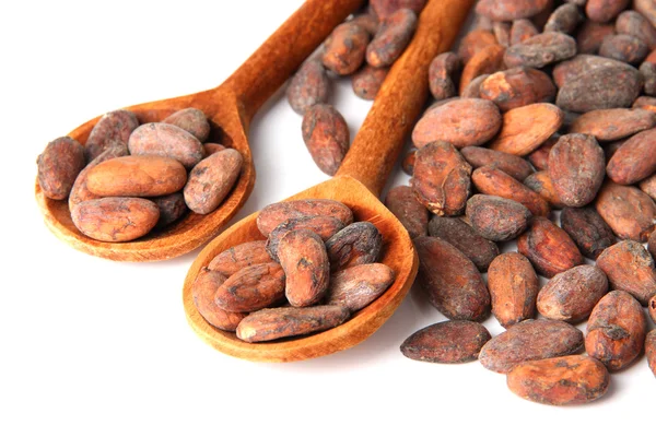 Cacao en cucharas de madera, aislado sobre blanco — Foto de Stock