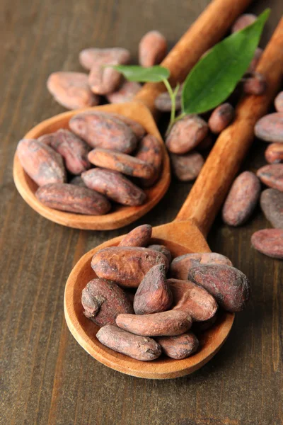 Cocoa beans with leaves in spoons on wooden background — Stock Photo, Image